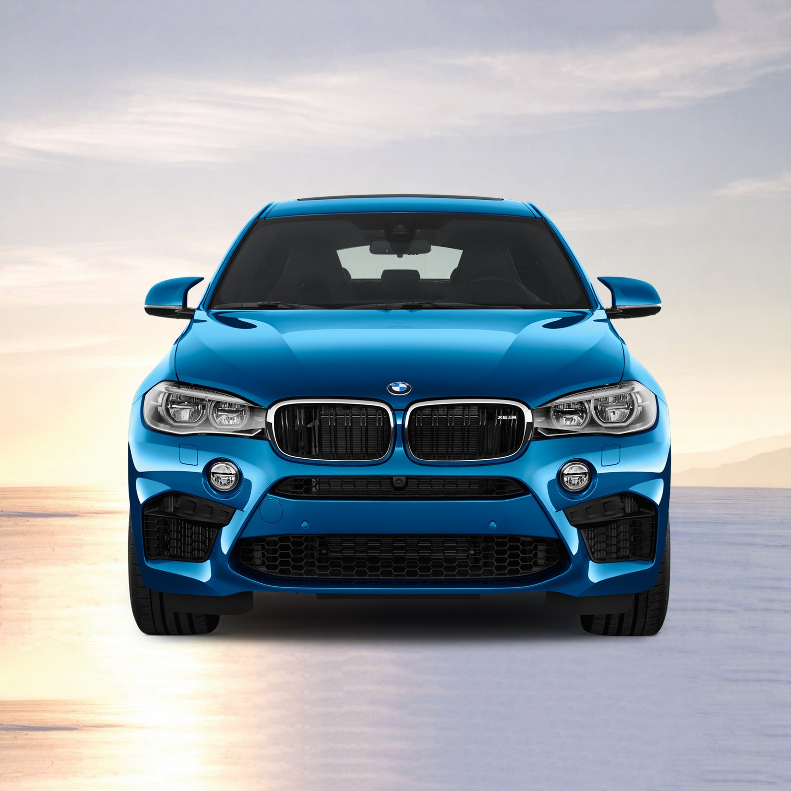 BMW Engines Specialist Skills